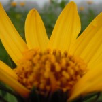 DSCN3323