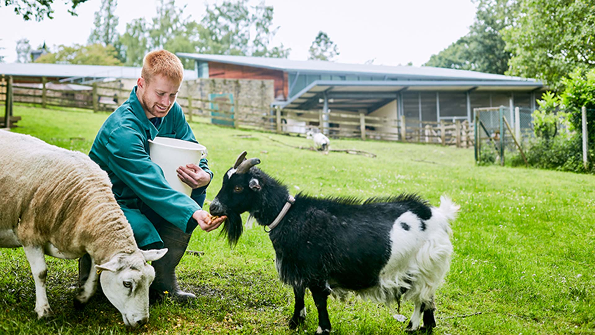 Recipes for Spending Free Time on the Farm