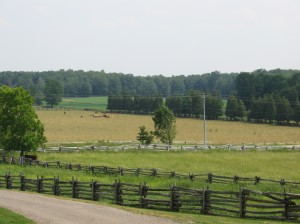 A view of Whole Circle Farm